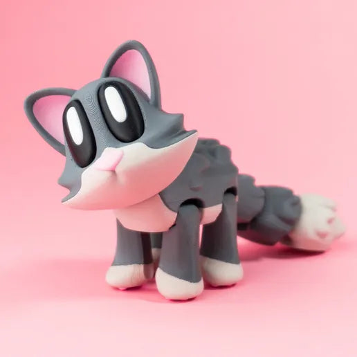 NeonMechaz Gato e Peixe