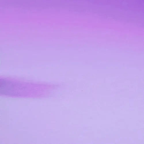 NeonMechaz Crocodilo